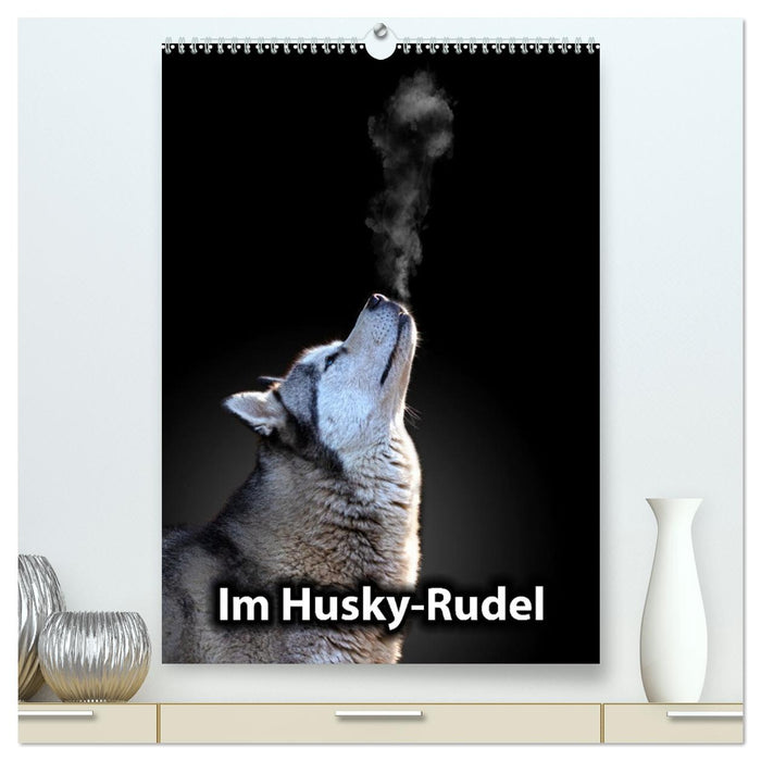 Im Husky-Rudel (CALVENDO Premium Wandkalender 2026)