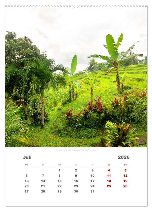 Reiseimpressionen durch Bali (CALVENDO Premium Wandkalender 2026)