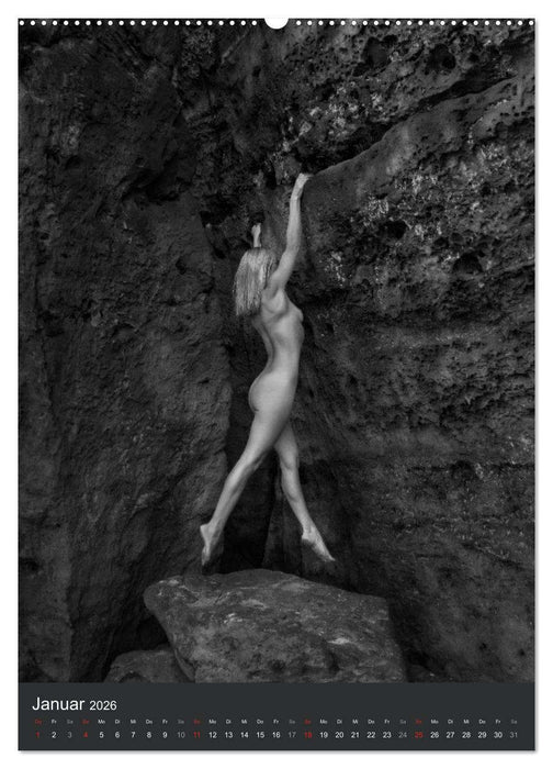 AlpenAkt 2026 (CALVENDO Premium Wandkalender 2026)