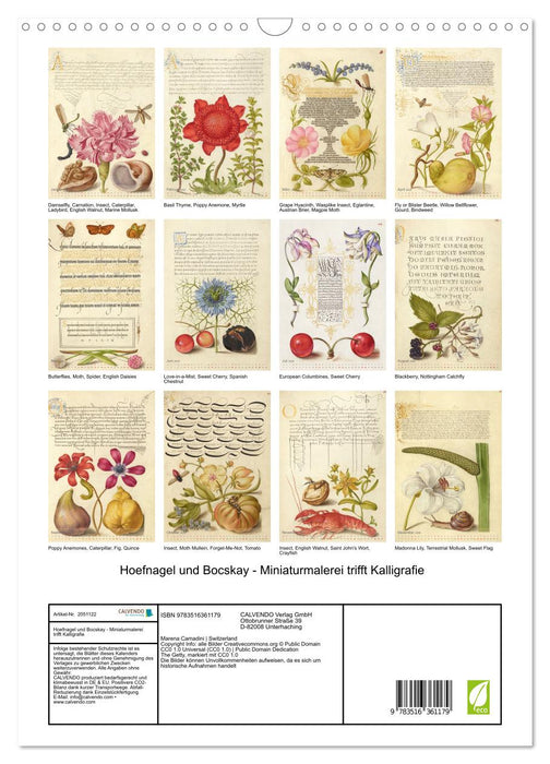 Hoefnagel und Bocskay - Miniaturmalerei trifft Kalligrafie (CALVENDO Wandkalender 2026)