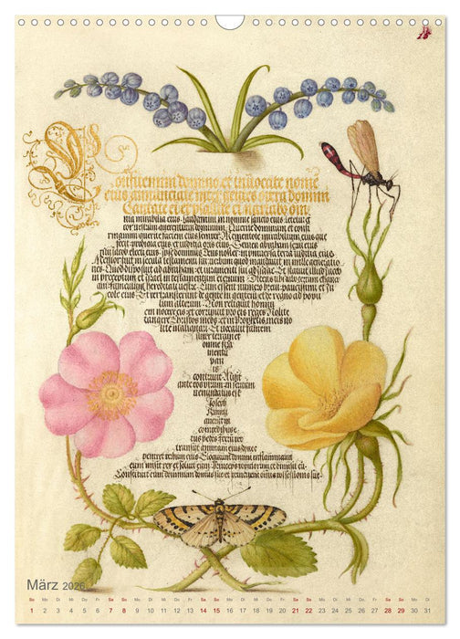 Hoefnagel und Bocskay - Miniaturmalerei trifft Kalligrafie (CALVENDO Wandkalender 2026)