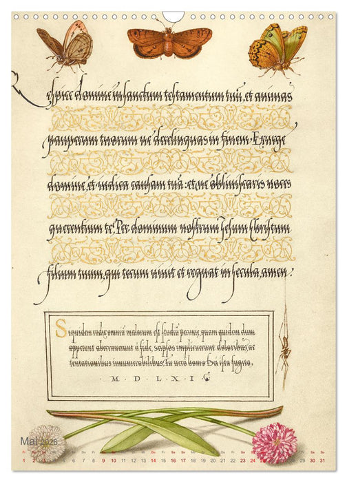 Hoefnagel und Bocskay - Miniaturmalerei trifft Kalligrafie (CALVENDO Wandkalender 2026)
