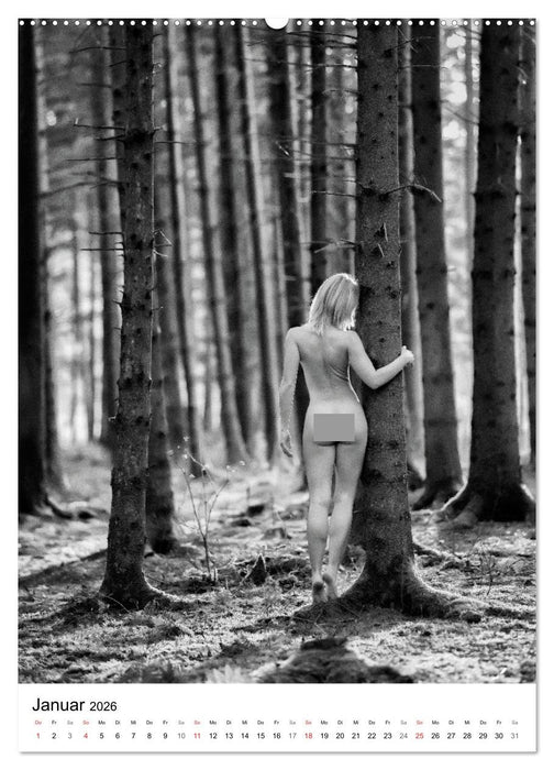 BaumAkte (CALVENDO Wandkalender 2026)