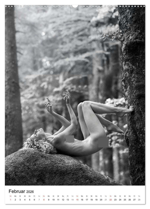 BaumAkte (CALVENDO Wandkalender 2026)