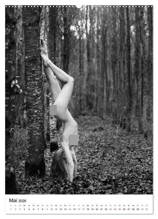 BaumAkte (CALVENDO Wandkalender 2026)