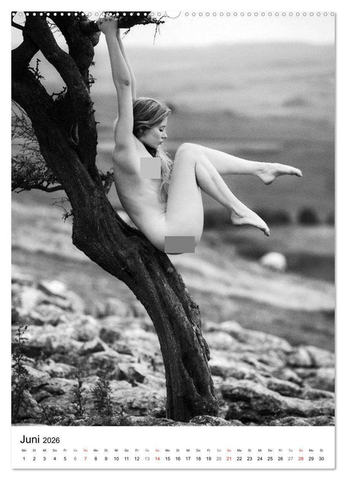 BaumAkte (CALVENDO Wandkalender 2026)