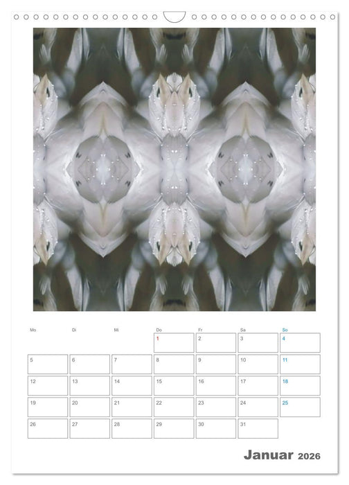 Axis Mater Naturae (CALVENDO Wandkalender 2026)