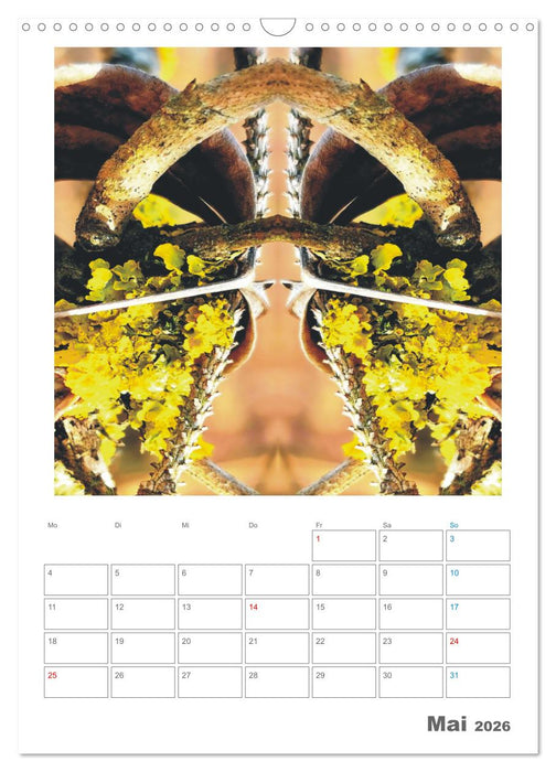 Axis Mater Naturae (CALVENDO Wandkalender 2026)