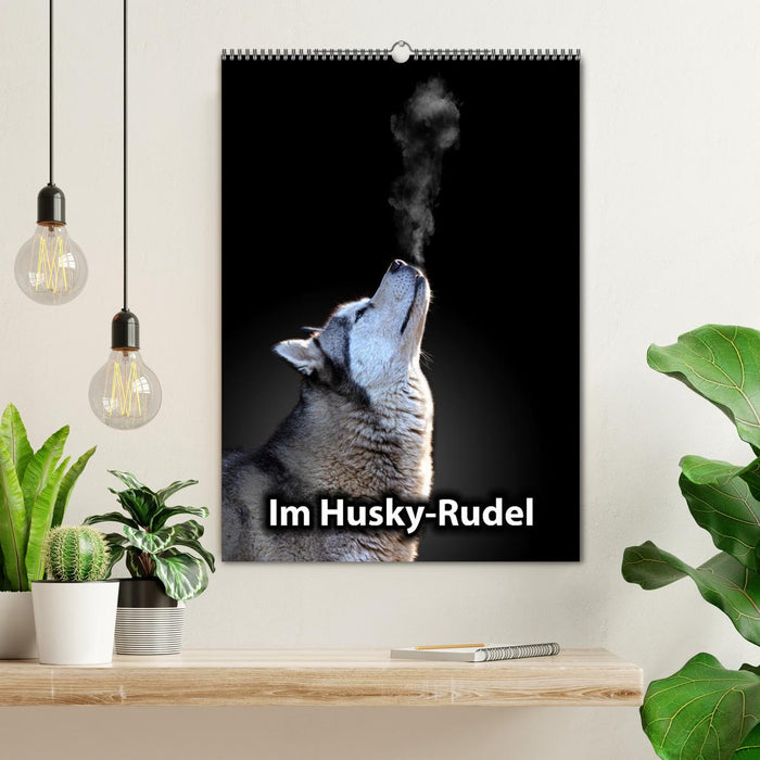 Im Husky-Rudel (CALVENDO Wandkalender 2026)