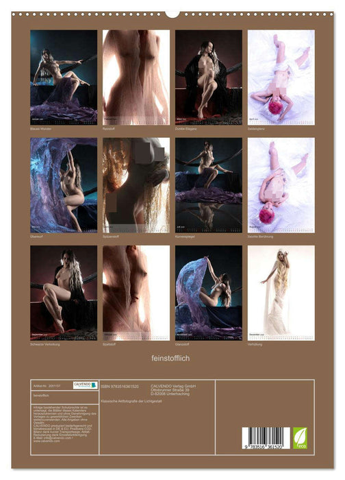 feinstofflich (CALVENDO Premium Wandkalender 2026)