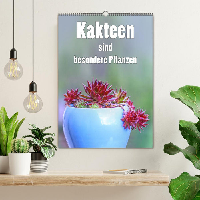Kakteen sind besondere Pflanzen (CALVENDO Wandkalender 2026)