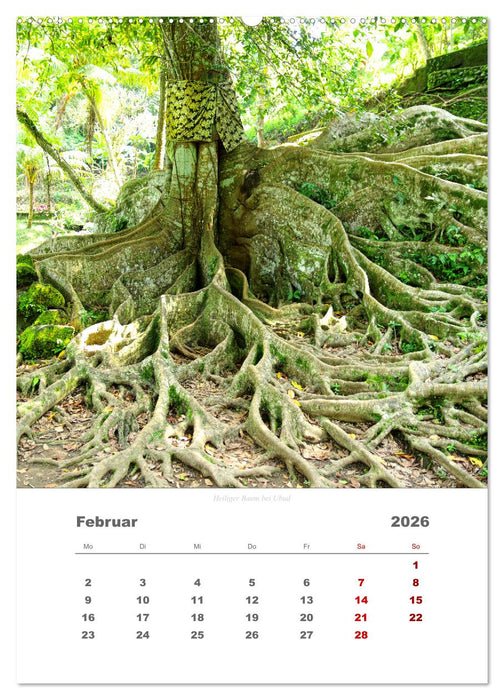 Reiseimpressionen durch Bali (CALVENDO Wandkalender 2026)