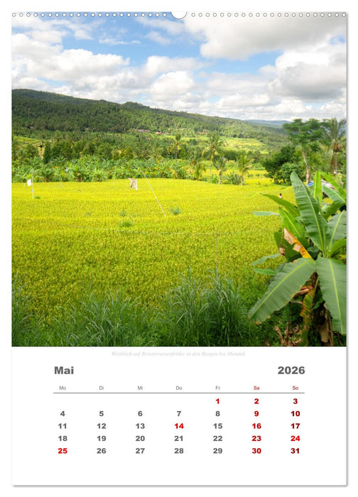 Reiseimpressionen durch Bali (CALVENDO Wandkalender 2026)