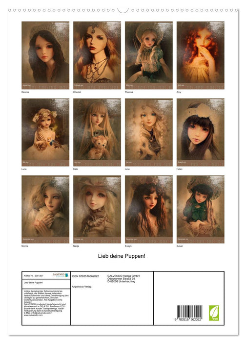 Lieb deine Puppen! (CALVENDO Premium Wandkalender 2026)