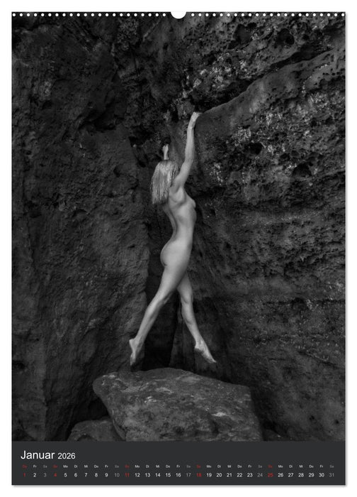 AlpenAkt 2026 (CALVENDO Wandkalender 2026)