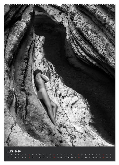 AlpenAkt 2026 (CALVENDO Wandkalender 2026)