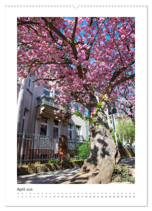 Mein Marburg (CALVENDO Wandkalender 2026)