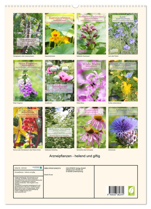 Arzneipflanzen - heilend und giftig (CALVENDO Wandkalender 2026)