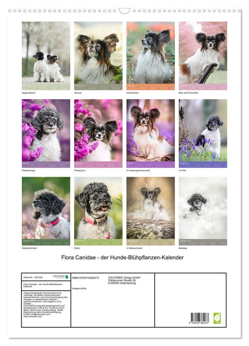 Flora Canidae - der Hunde-Blühpflanzen-Kalender (CALVENDO Wandkalender 2026)