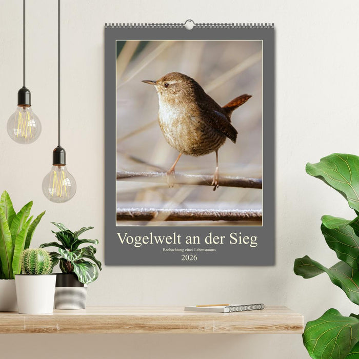 Vogelwelt an der Sieg (CALVENDO Wandkalender 2026)