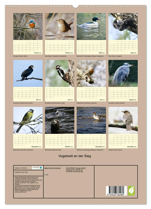 Vogelwelt an der Sieg (CALVENDO Wandkalender 2026)