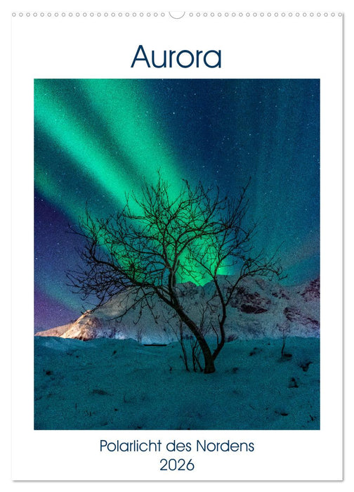 Aurora - Polarlicht des Nordens (CALVENDO Wandkalender 2026)
