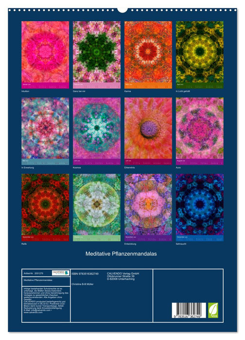 Meditative Pflanzenmandalas (CALVENDO Premium Wandkalender 2026)