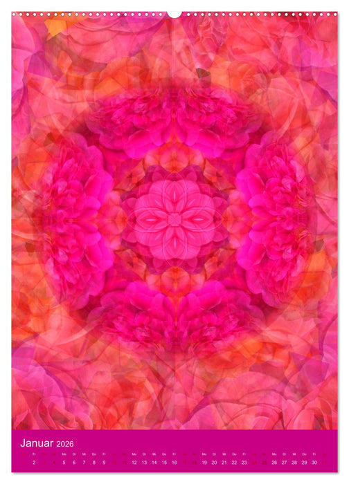 Meditative Pflanzenmandalas (CALVENDO Premium Wandkalender 2026)