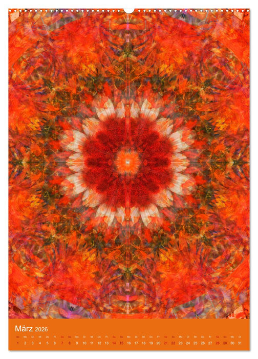 Meditative Pflanzenmandalas (CALVENDO Premium Wandkalender 2026)