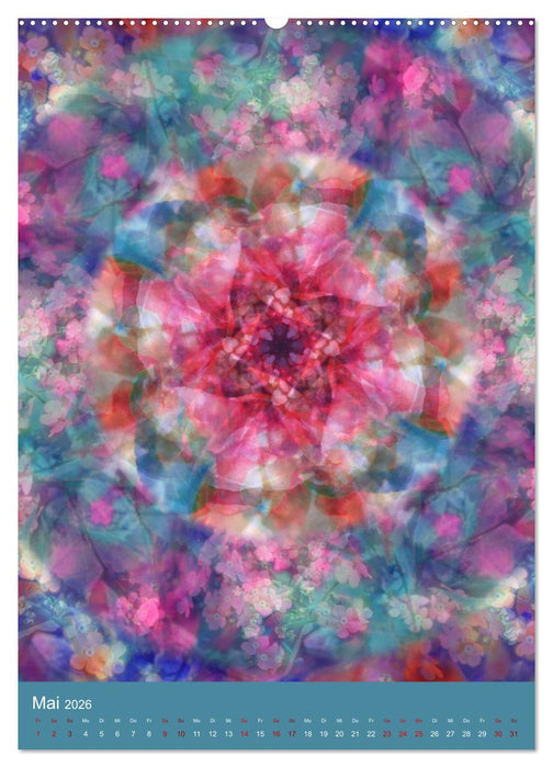 Meditative Pflanzenmandalas (CALVENDO Premium Wandkalender 2026)