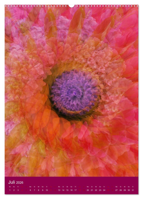 Meditative Pflanzenmandalas (CALVENDO Premium Wandkalender 2026)