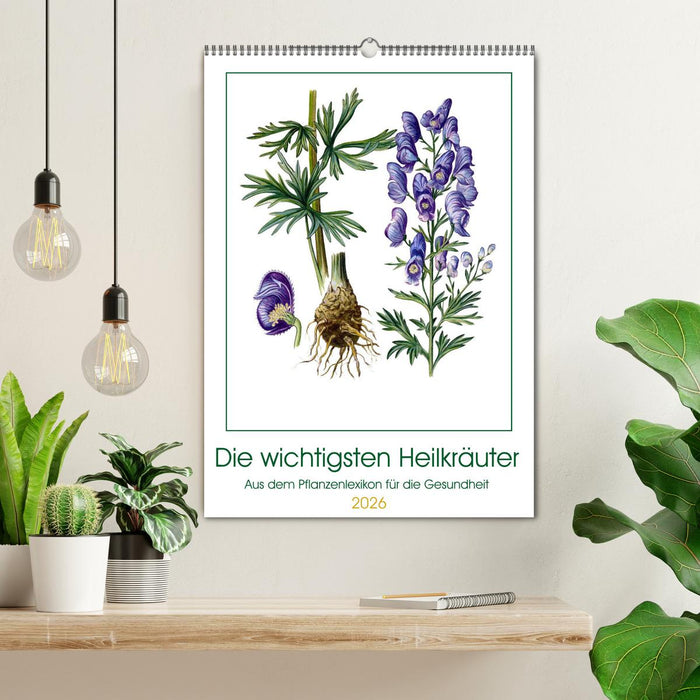 Die wichtigsten Heilkräuter (CALVENDO Wandkalender 2026)