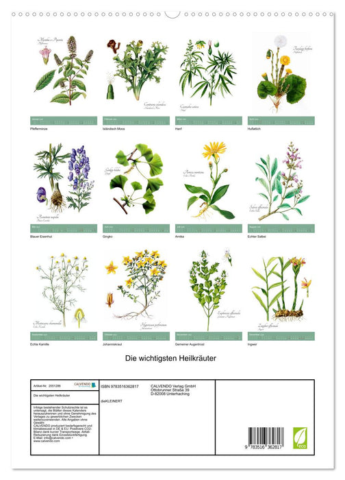 Die wichtigsten Heilkräuter (CALVENDO Wandkalender 2026)