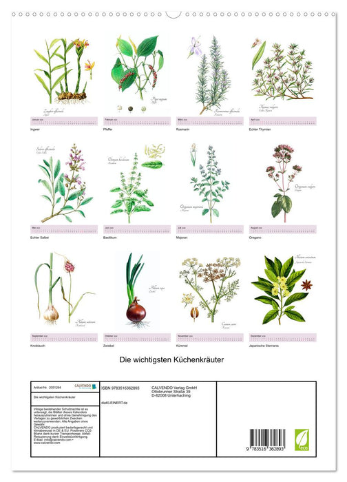 Die wichtigsten Küchenkräuter (CALVENDO Wandkalender 2026)