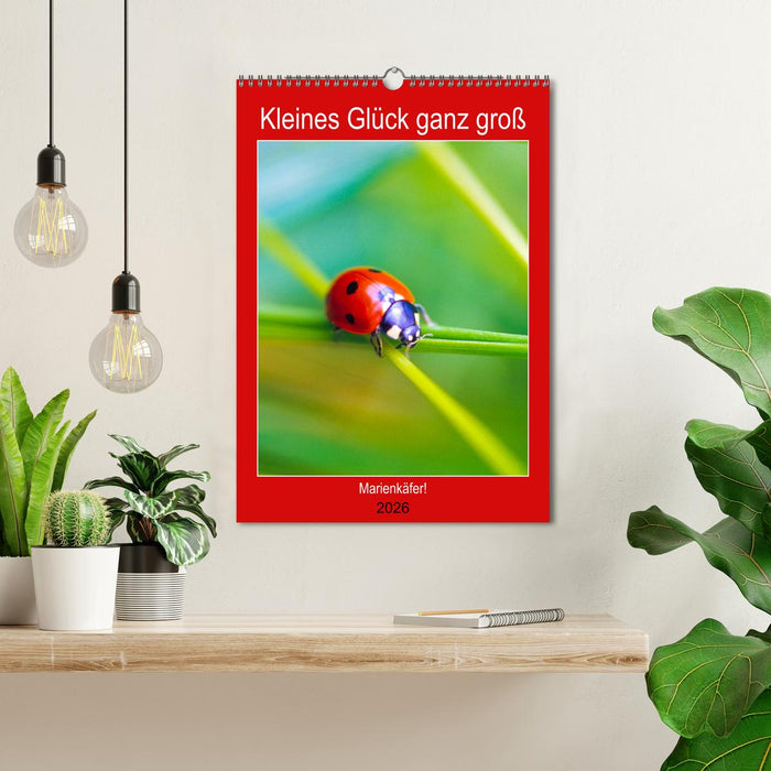 Kleines Glück ganz groß: Marienkäfer! (CALVENDO Wandkalender 2026)
