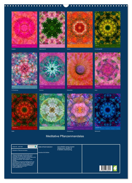 Meditative Pflanzenmandalas (CALVENDO Wandkalender 2026)