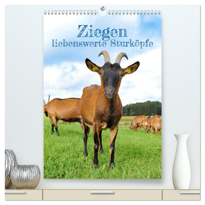 Ziegen - liebenswerte Sturköpfe (CALVENDO Premium Wandkalender 2026)