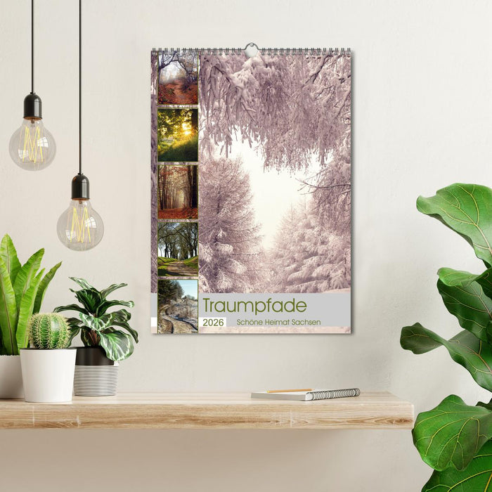 Traumpfade - Schöne Heimat Sachsen (CALVENDO Wandkalender 2026)