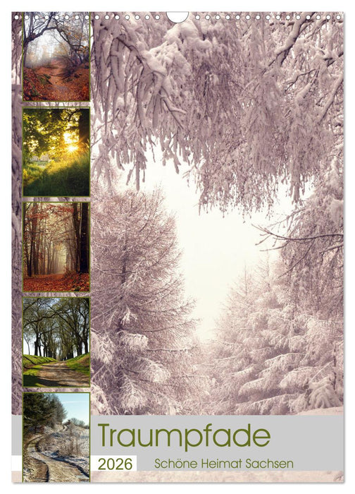 Traumpfade - Schöne Heimat Sachsen (CALVENDO Wandkalender 2026)