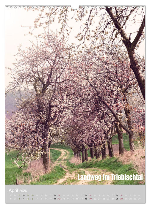 Traumpfade - Schöne Heimat Sachsen (CALVENDO Wandkalender 2026)