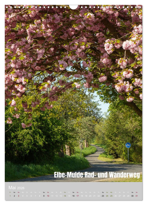 Traumpfade - Schöne Heimat Sachsen (CALVENDO Wandkalender 2026)