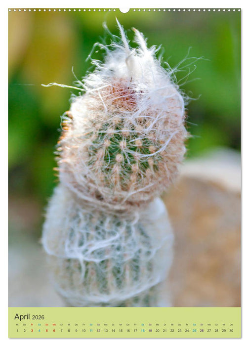 Botanischer Garten Basel - Eine Oase zum Entdecken (CALVENDO Wandkalender 2026)