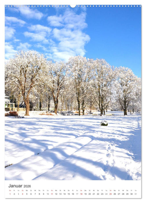 Faszination der Farben im Naturpark Lappwald (CALVENDO Premium Wandkalender 2026)