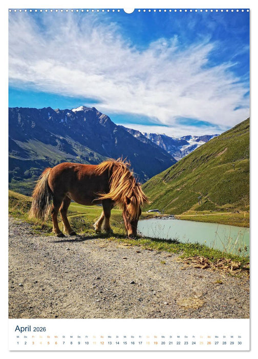 Sommer in Österreich - sonnige Tage in den Bergen (CALVENDO Premium Wandkalender 2026)