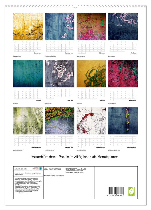 Mauerblümchen - Poesie im Alltäglichen als Monatsplaner (CALVENDO Wandkalender 2026)