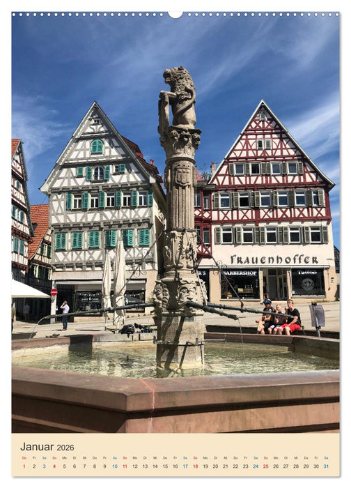 Herrenberg im Fokus (CALVENDO Wandkalender 2026)