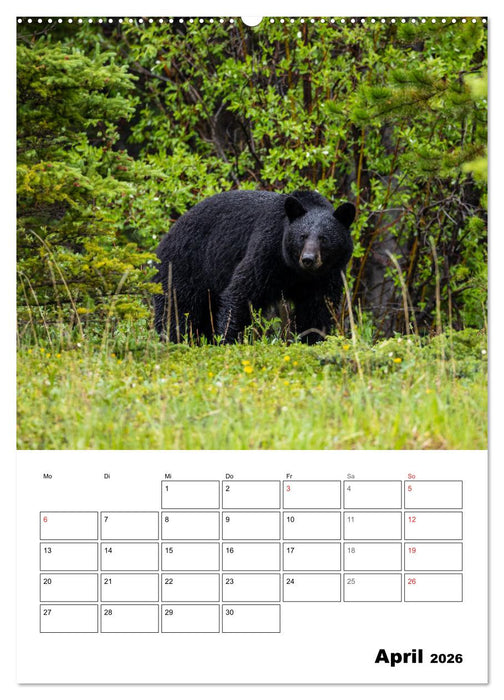 Mein Schönes Kanada (CALVENDO Premium Wandkalender 2026)