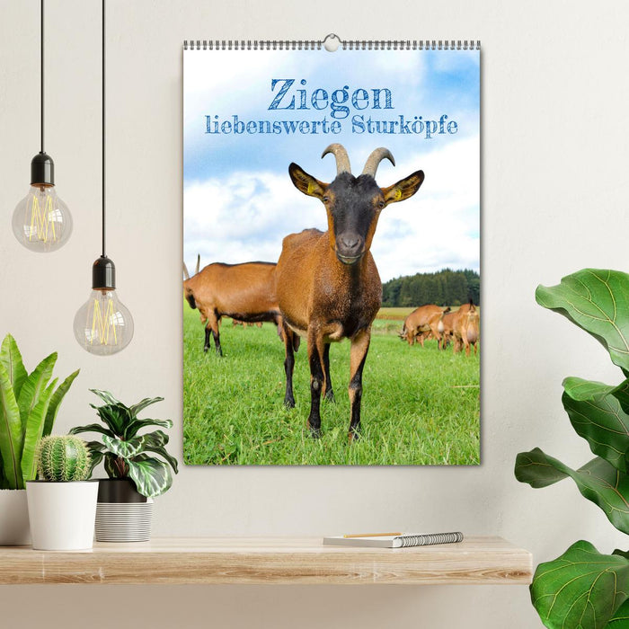 Ziegen - liebenswerte Sturköpfe (CALVENDO Wandkalender 2026)