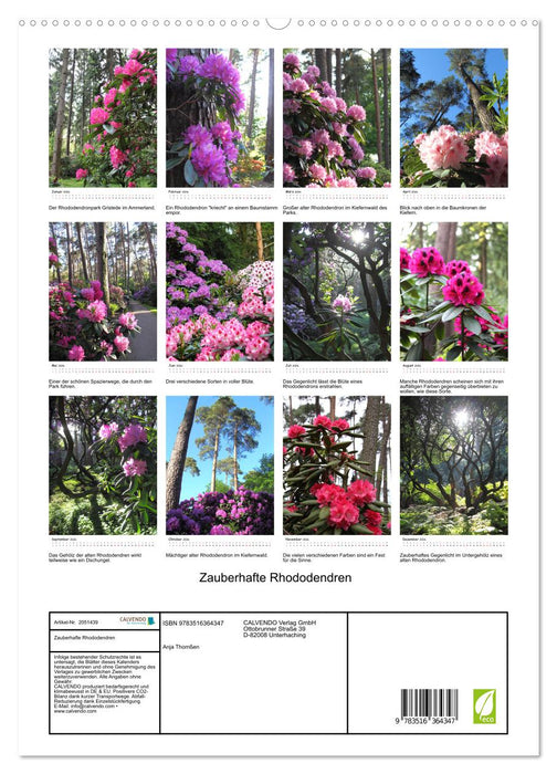 Zauberhafte Rhododendren (CALVENDO Premium Wandkalender 2026)