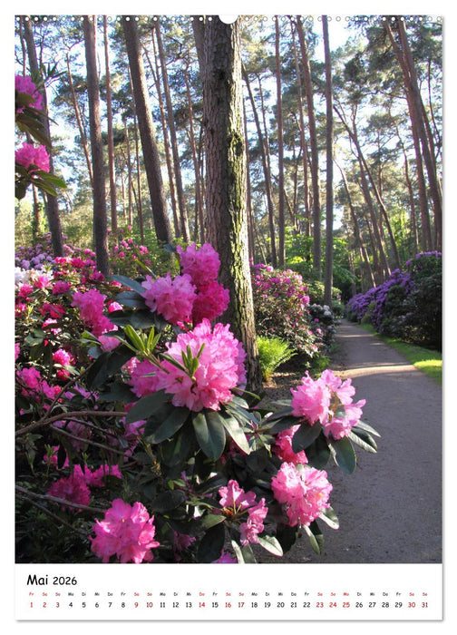 Zauberhafte Rhododendren (CALVENDO Premium Wandkalender 2026)